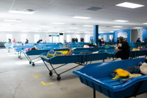 goodwill impact centre 248