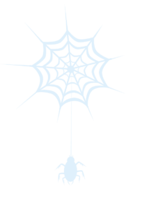 OneSpider