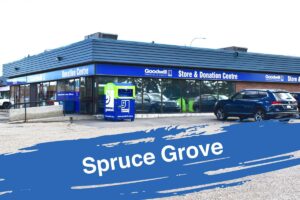 Spruce Grove Print